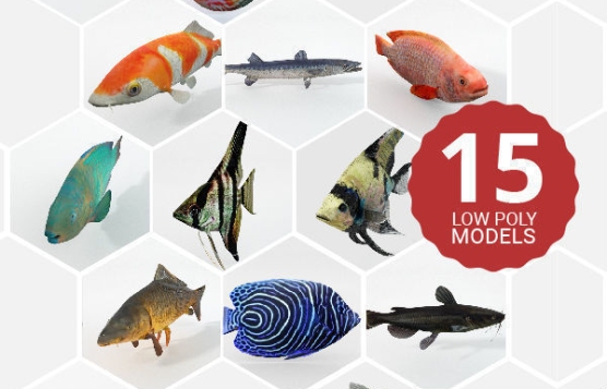 15 Freshwater Fish Pack